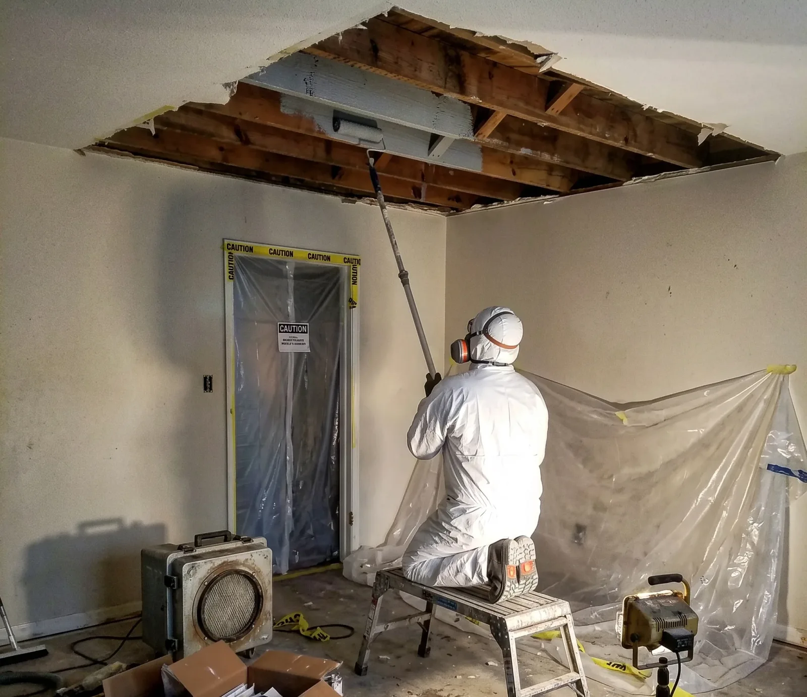 Mold Remediation service in Austin, TX