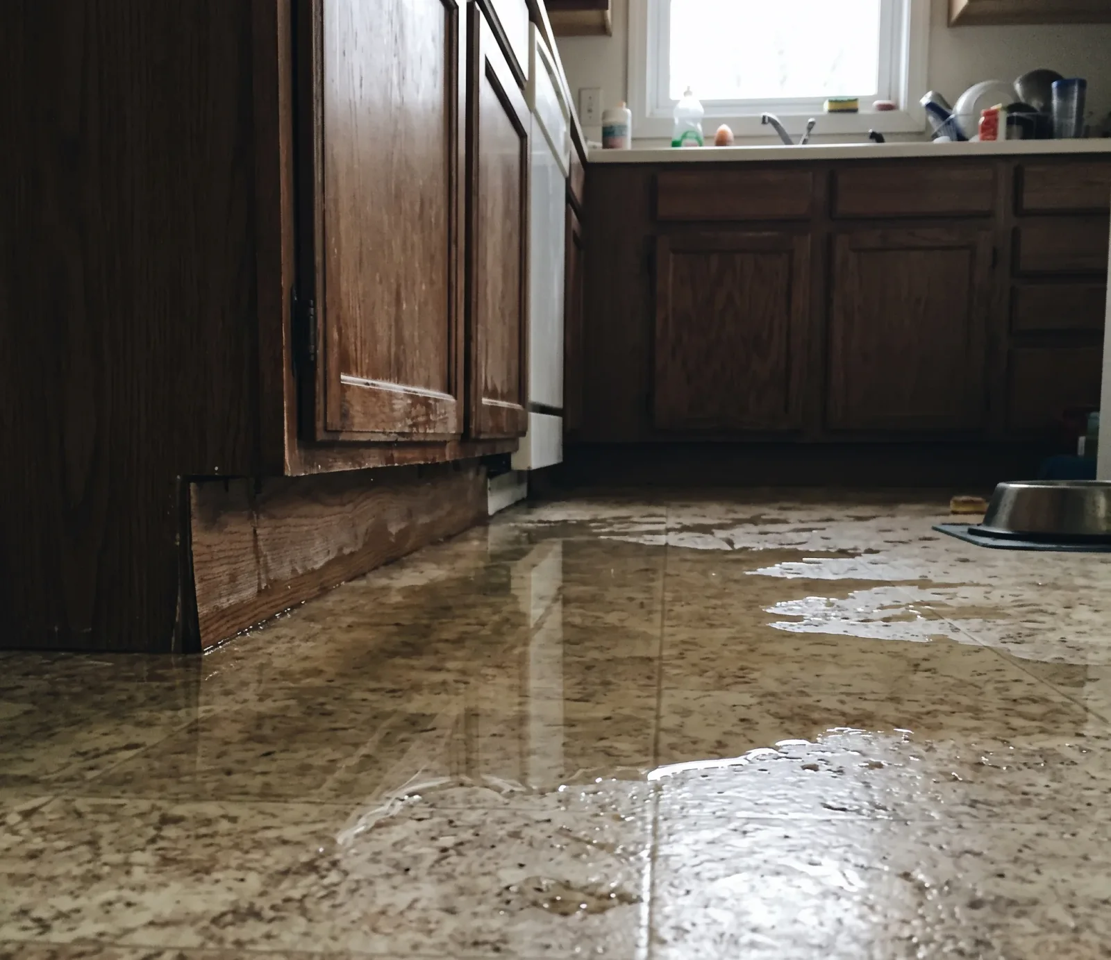 Restaurants & Food Service water damage restoration in Austin, TX