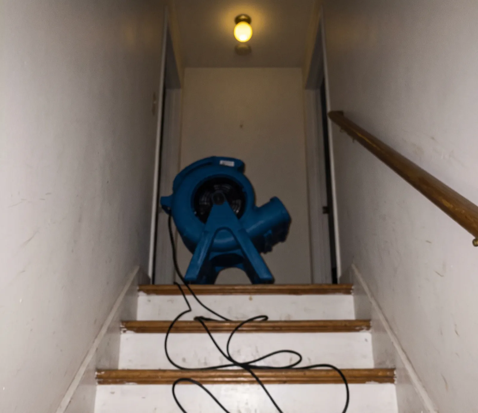 Bathroom Mold water damage in Austin, TX