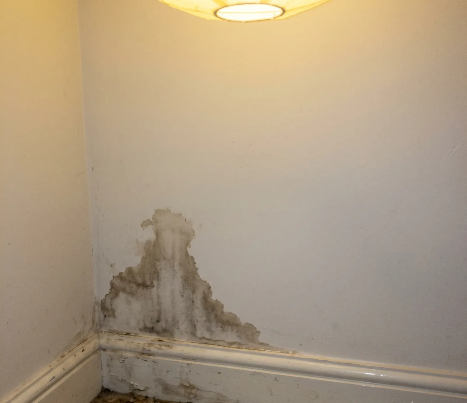 Crawl Space Mold water damage in Austin, TX