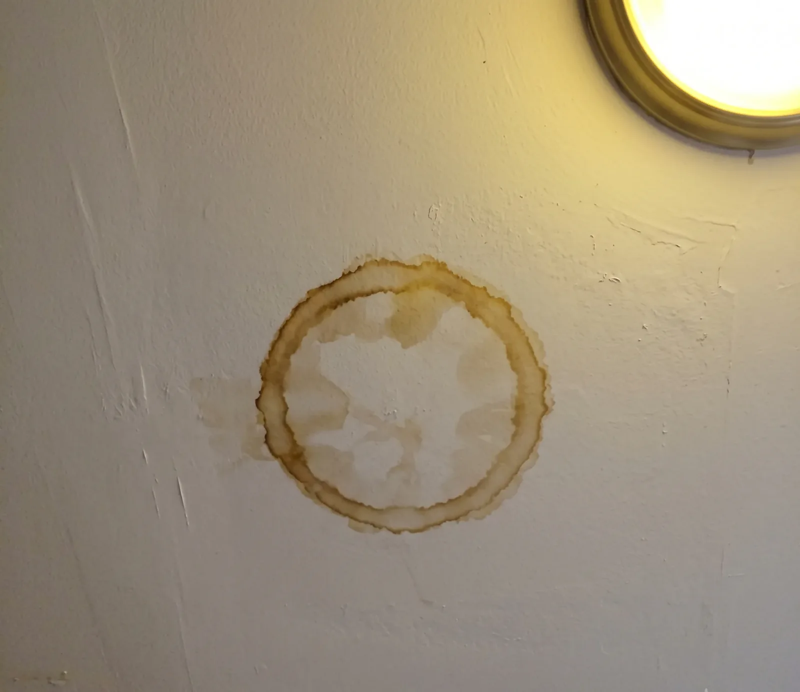 Post-Flood Mold water damage in Austin, TX